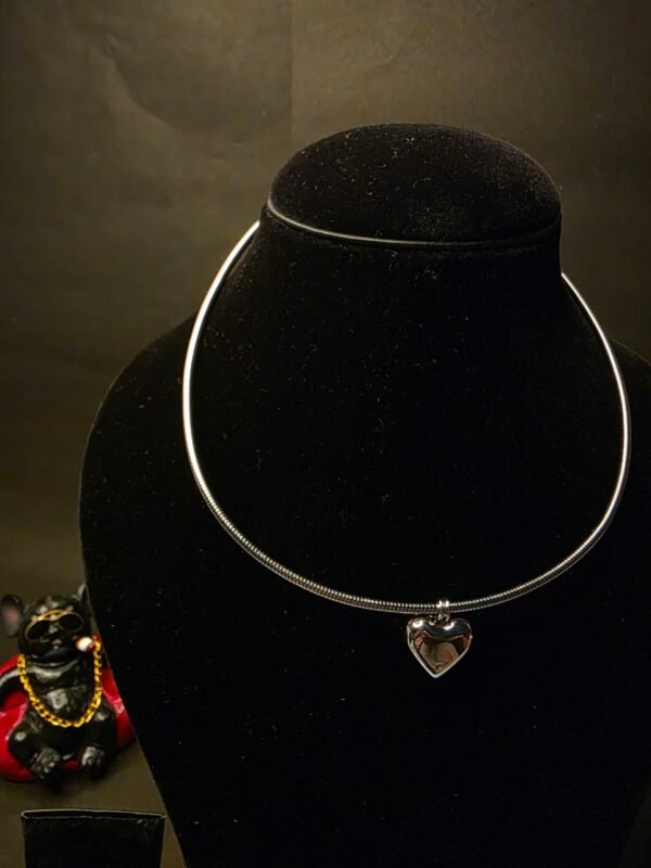 silver choker featuring a sleek heart pendant