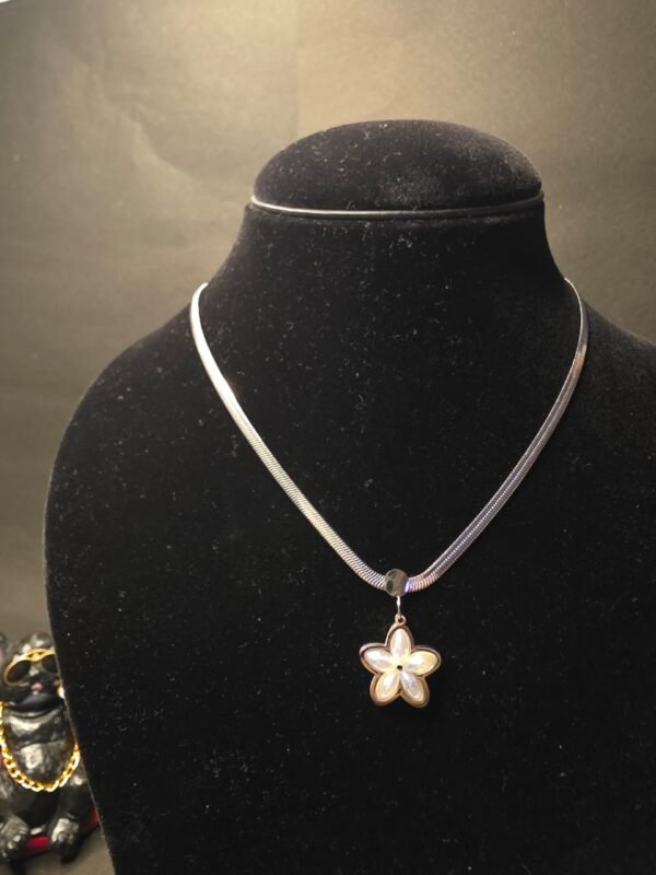 Reach for the stars, or wear one close to your heart